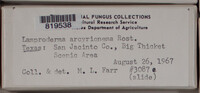 Image Associated With the Occurence